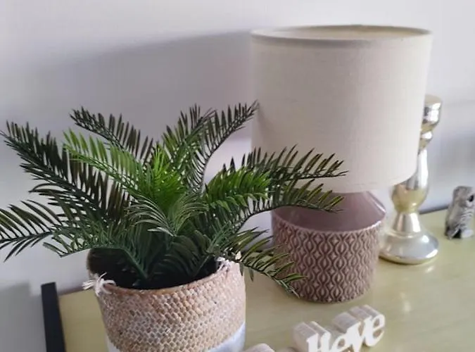 Apartment Flat In Juan Antibes